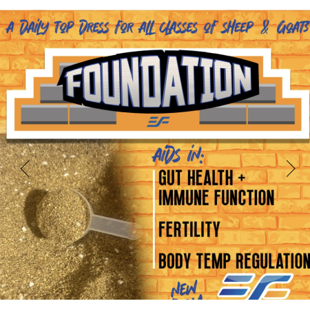 Essential Foundation